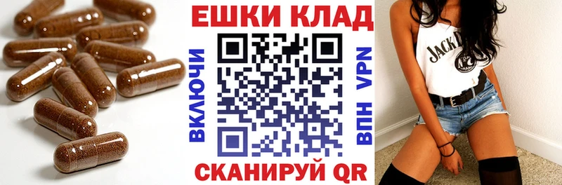 darknet Telegram  Городец  Ecstasy 250 мг  что такое  
