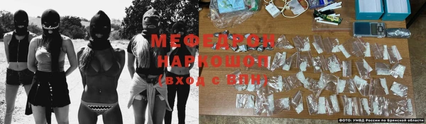 каннабис Богданович