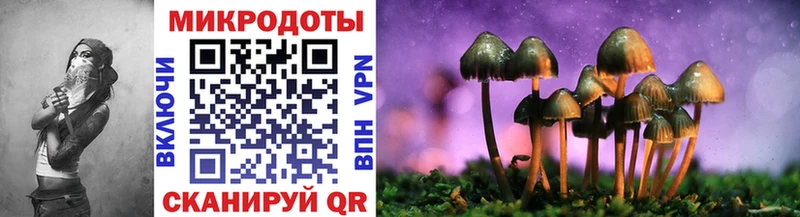 купить наркоту  Городец  Псилоцибиновые грибы MAGIC MUSHROOMS 